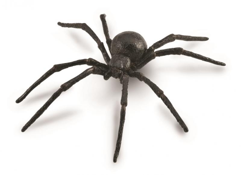 Black Widow Spider, Large (88884)