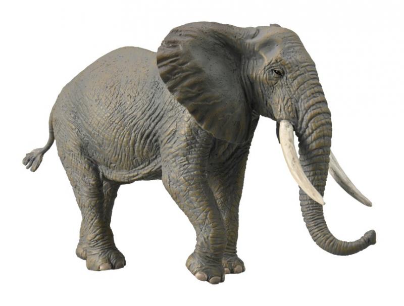 African Elephant, Extra Large (88966)