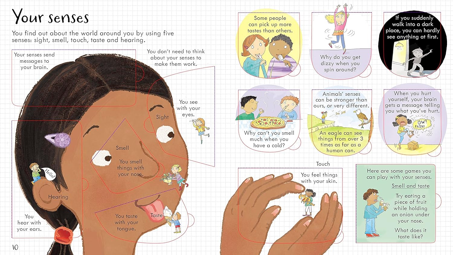 Look Inside Your Body - Lift The Flap