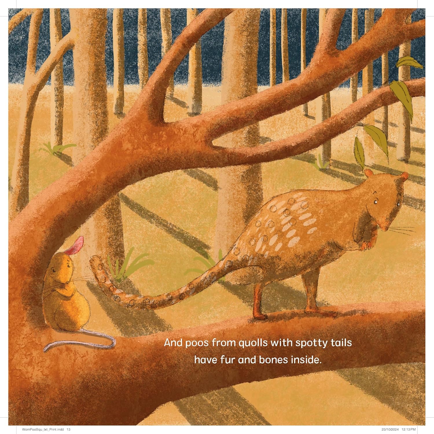 Wombat Poos Are Square