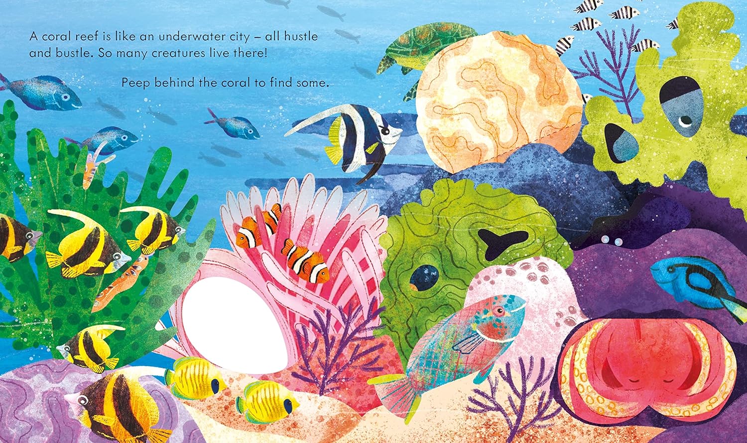 Peep Inside - A Coral Reef