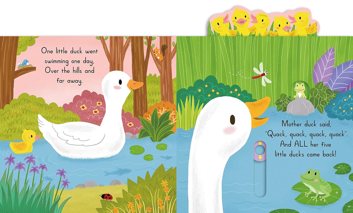 Five Little Ducks - Sing Along With Me!