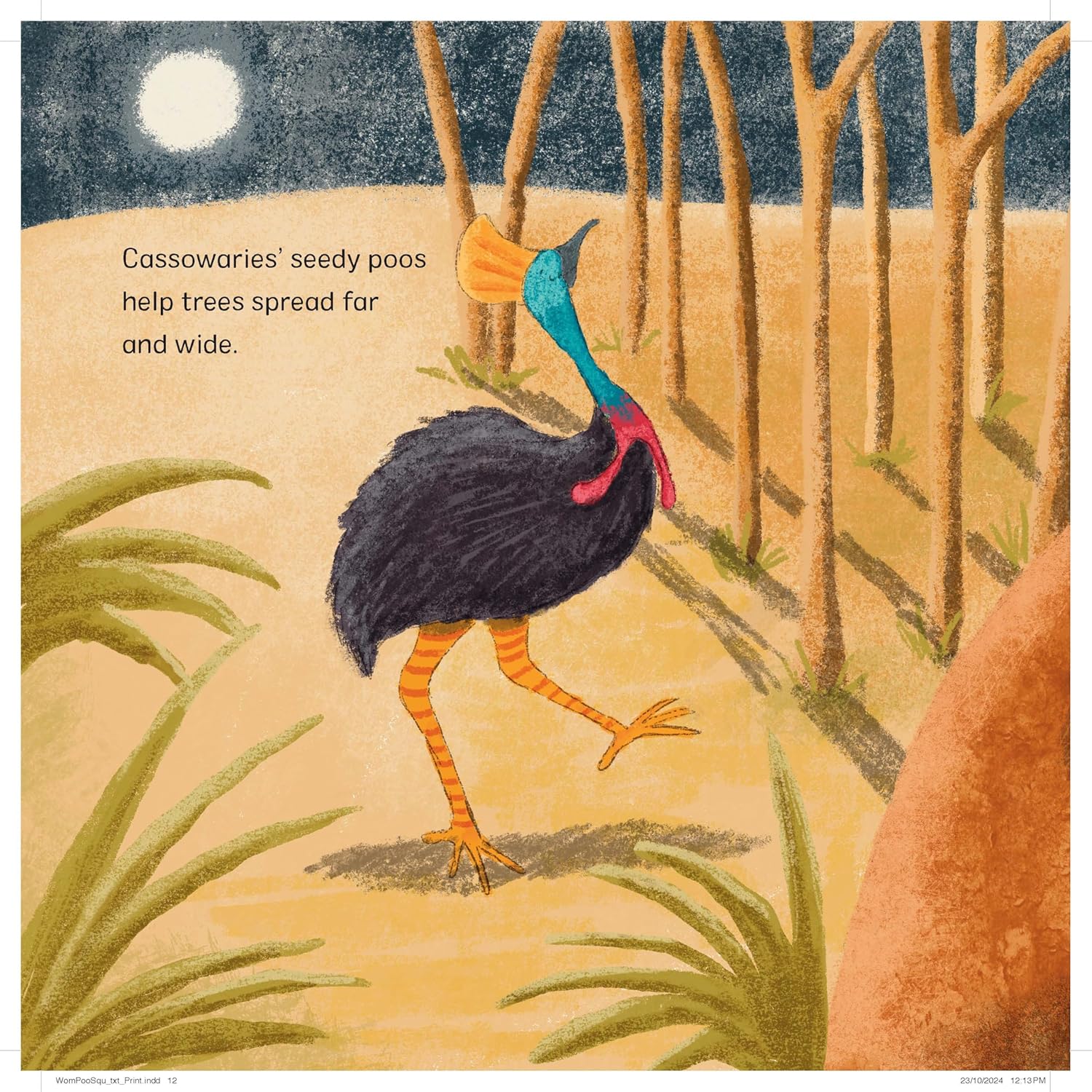 Wombat Poos Are Square