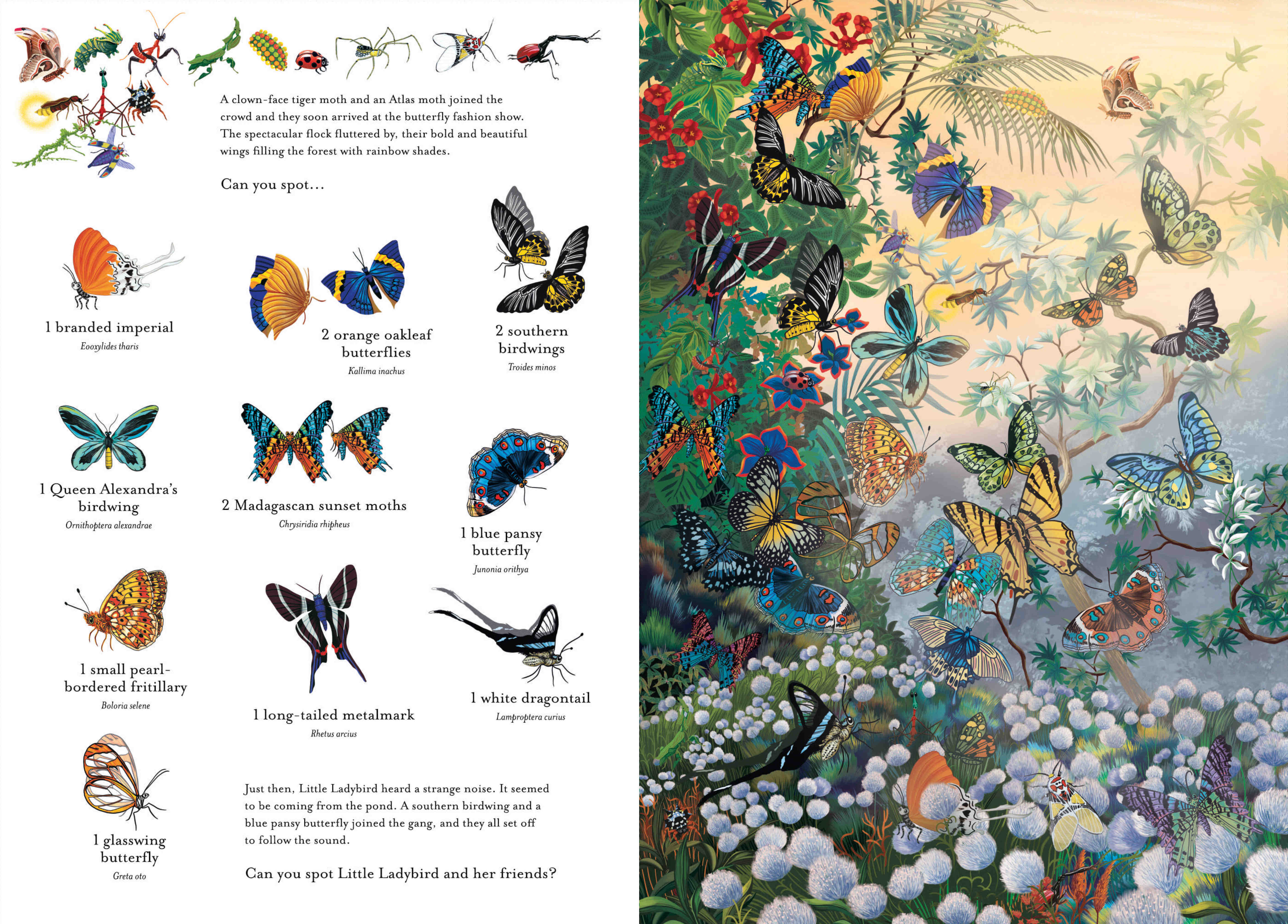 The Incredible 3D Bug Hunt