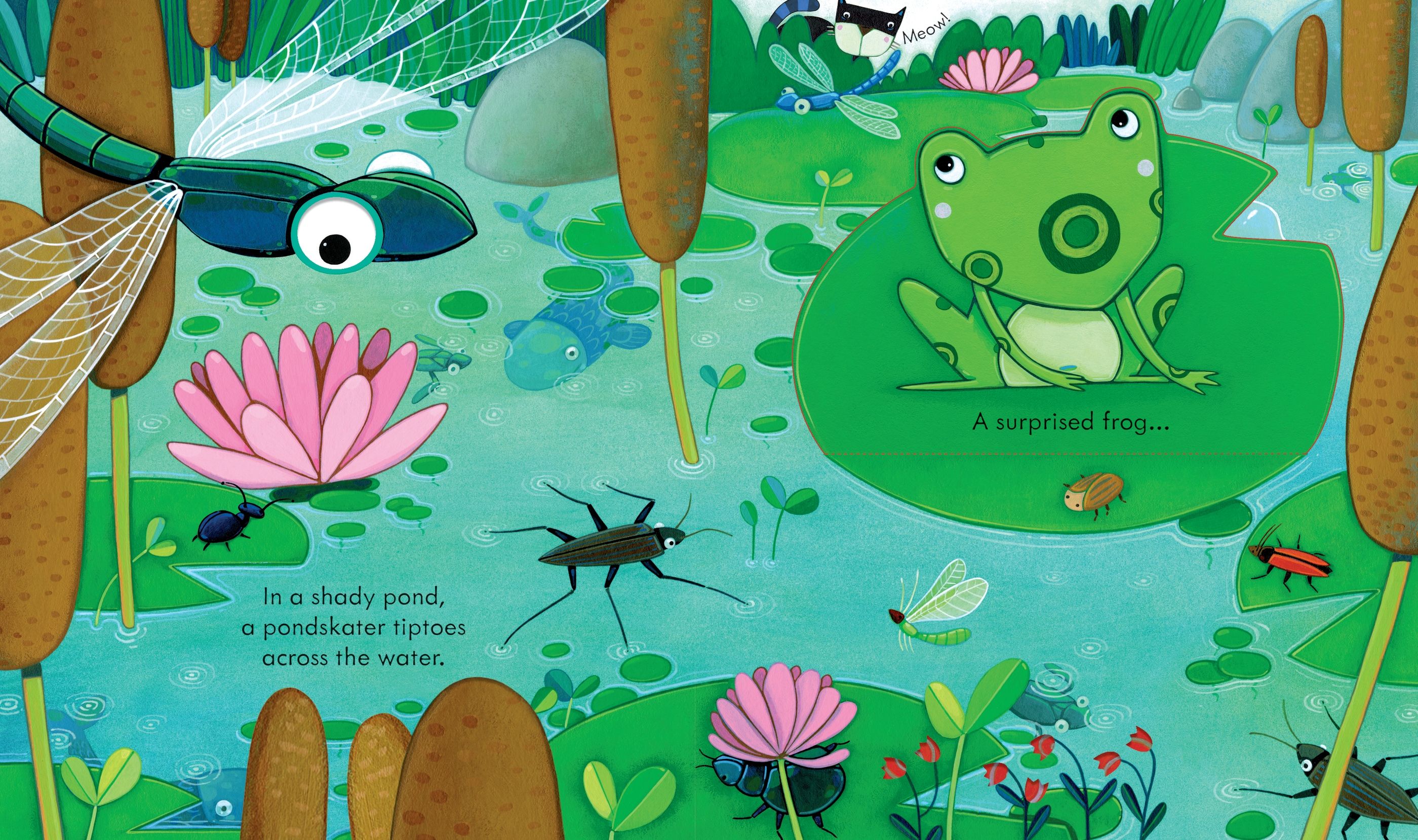 Peep Inside - The Garden