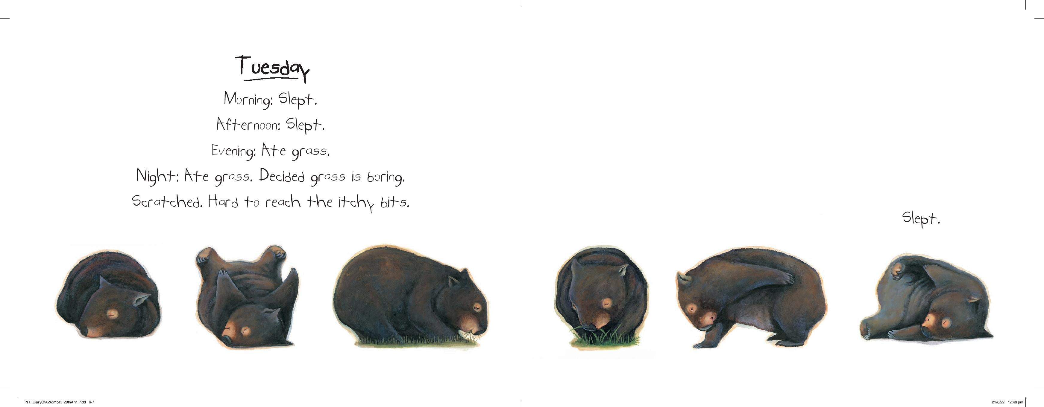 Diary of a Wombat (Board Book)