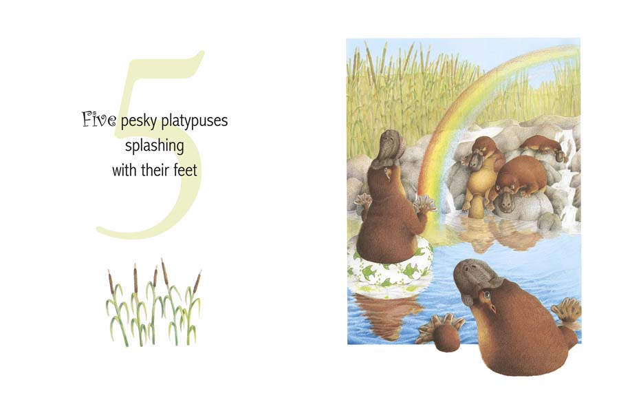 One Woolly Wombat - 40th Anniversary Addition