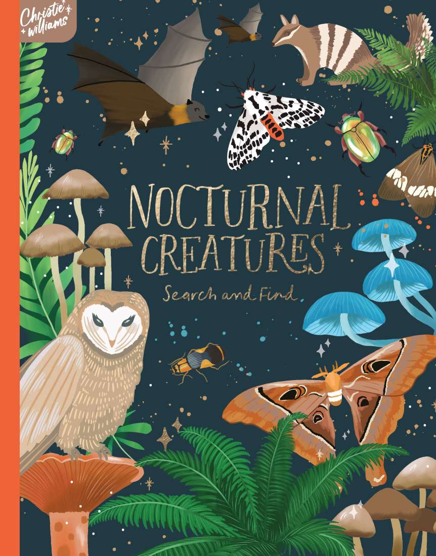 Nocturnal Creatures: Search and Find