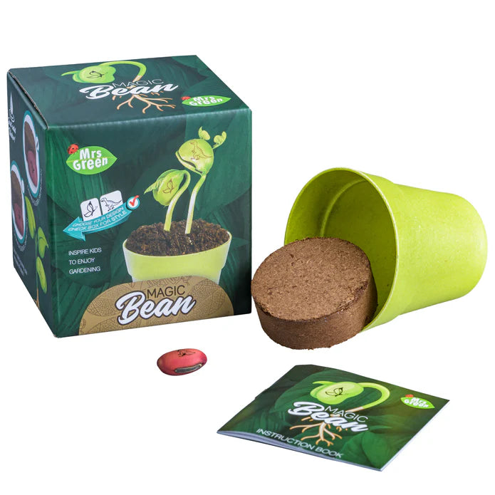 Magic Beans - Grow Your Own Beans