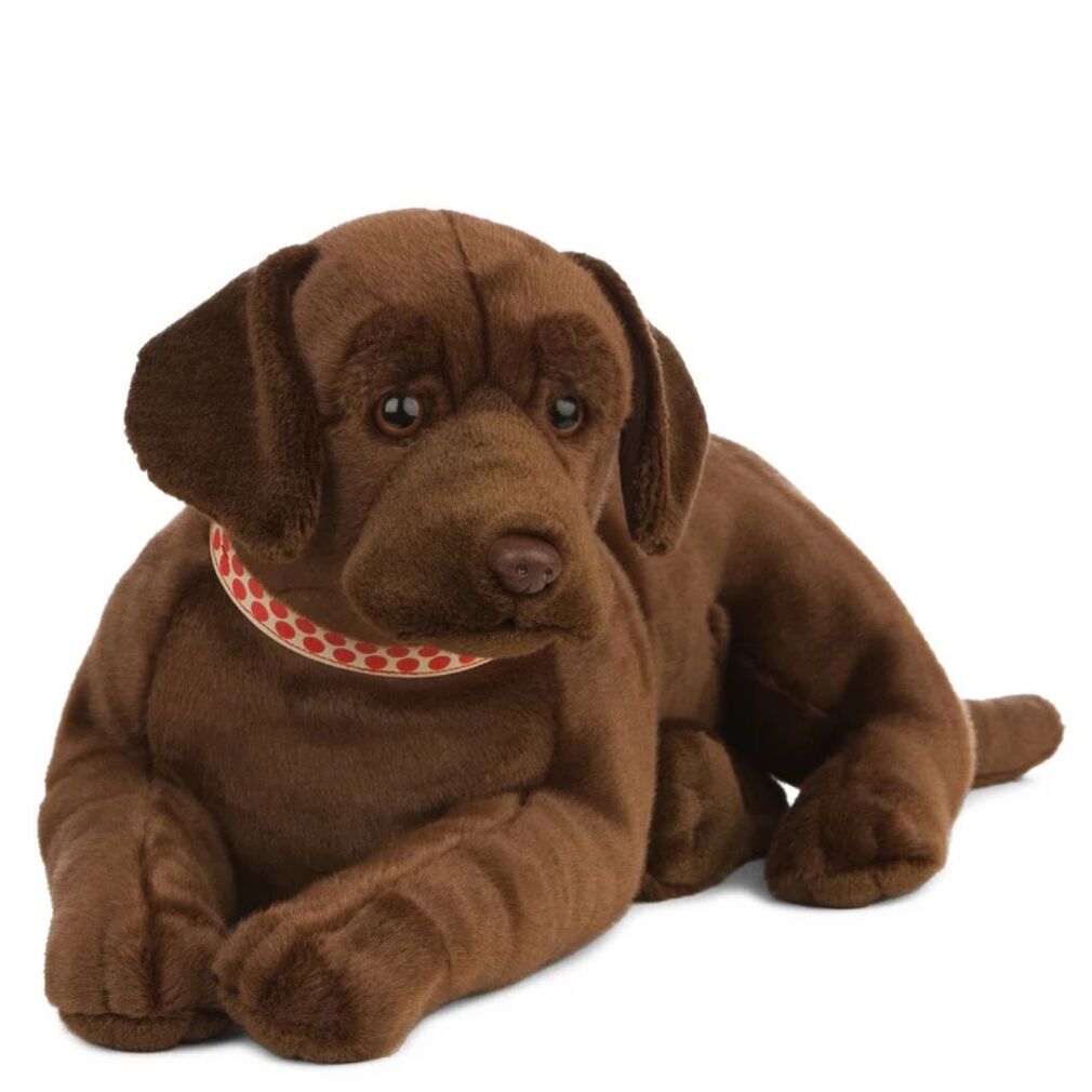 Giant Chocolate Labrador