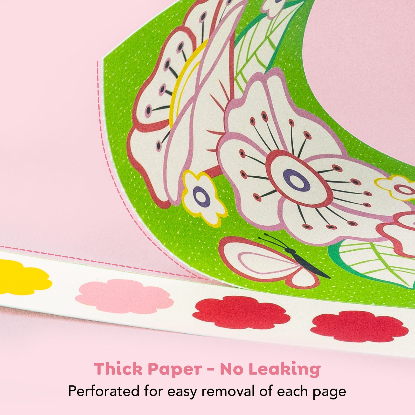 Paint A Picture Set - Butterflies and Flowers