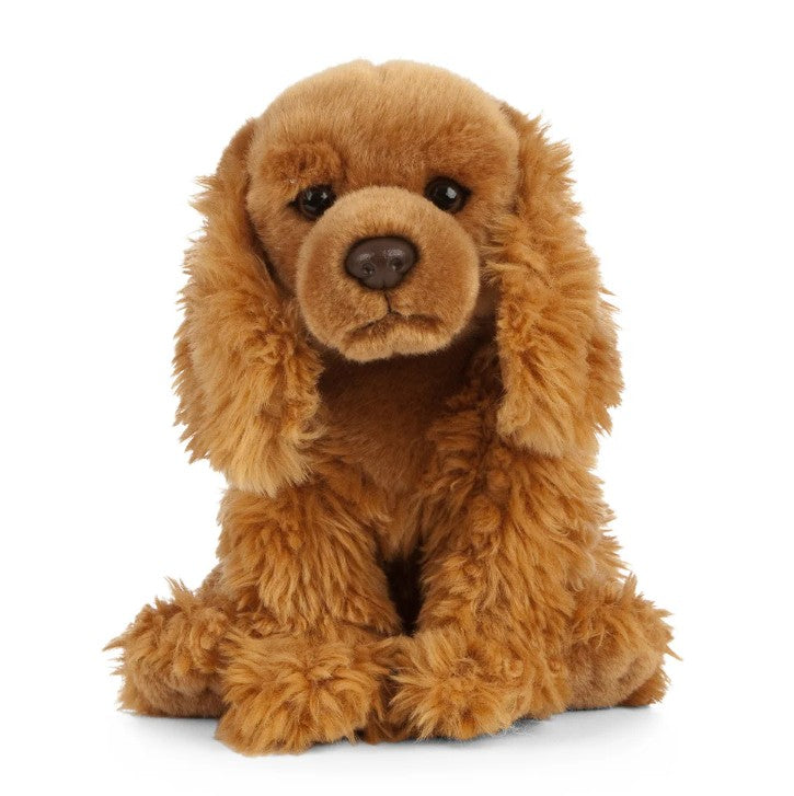 Cocker Spaniel (27cm)