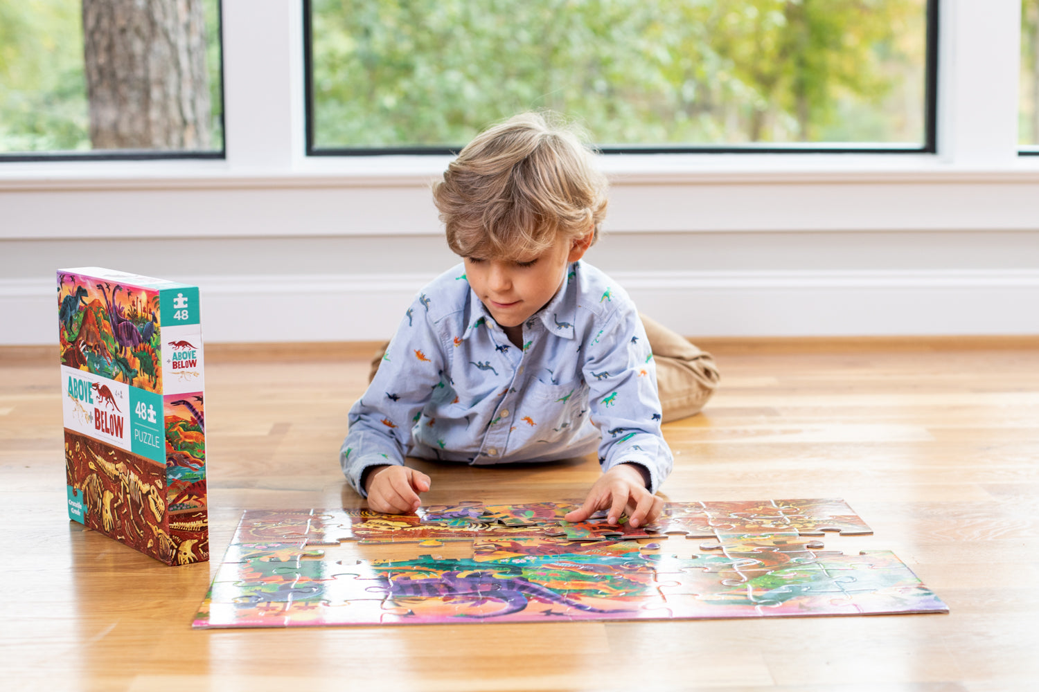 Above & Below 48 pc - Dinosaur World