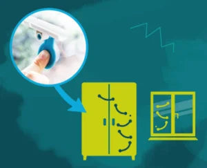 Gecko Run Snake Expansion Set