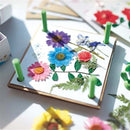 4M - Green Creativity - Pressed Flower Art