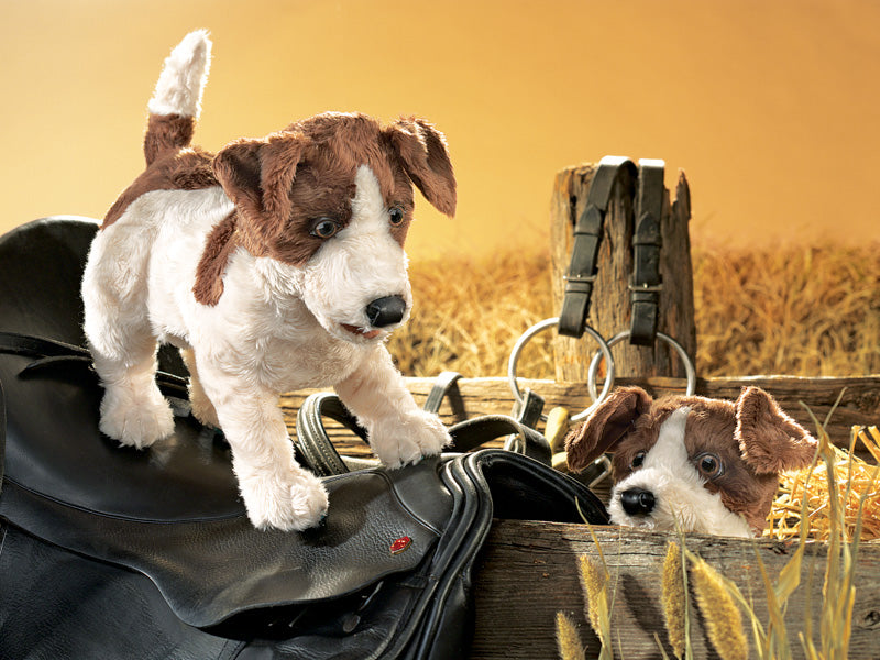 Jack Russell Smooth Coat Puppet