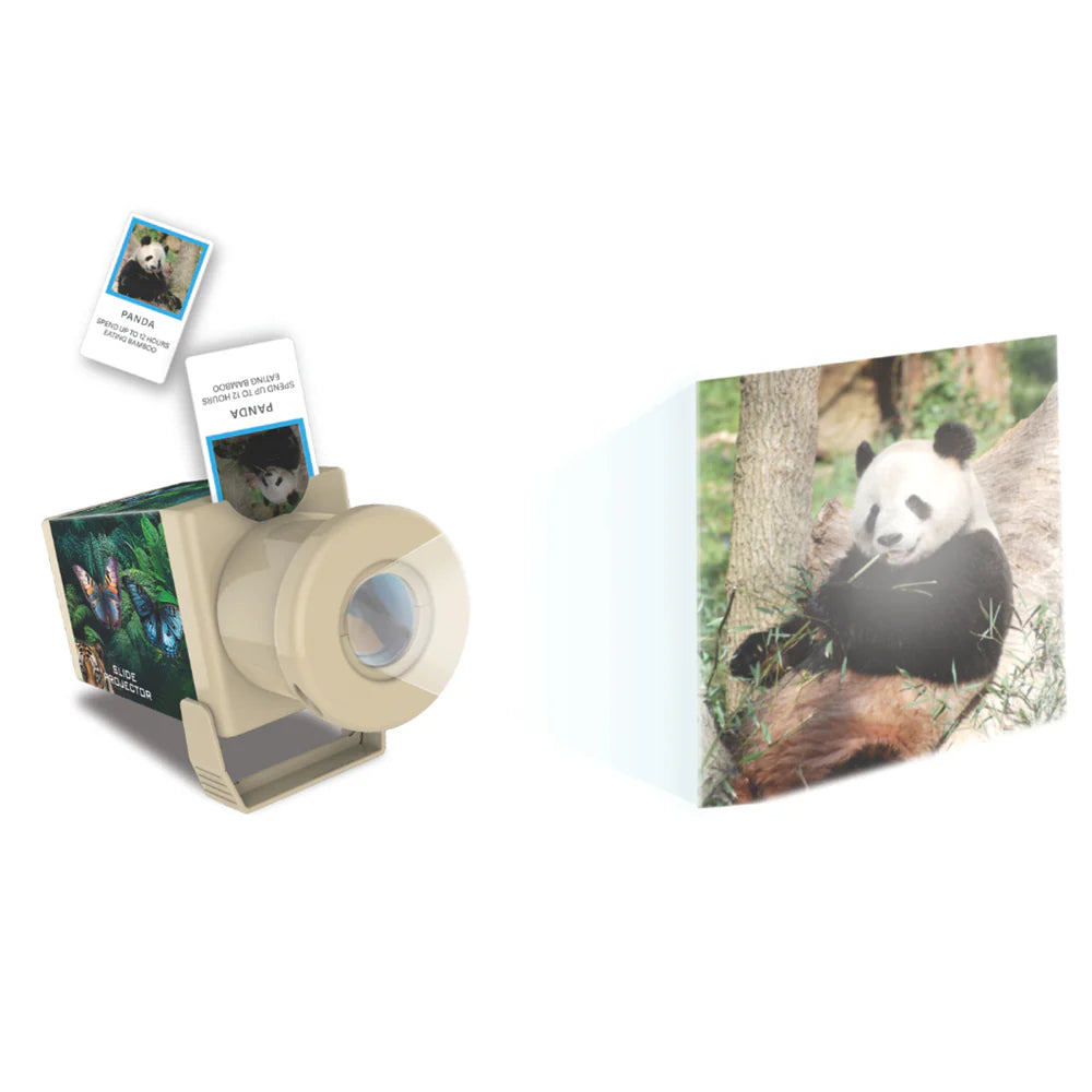 Kidzlabs - Slide Projector - Wildlife