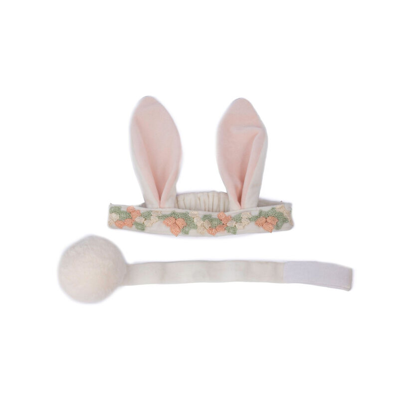 Hippity Hop Bunny Ears & Tail Accessory Set