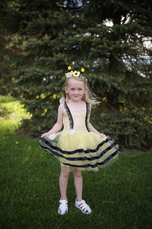 Bumble Bee Dress & Headband (Size 3-4)