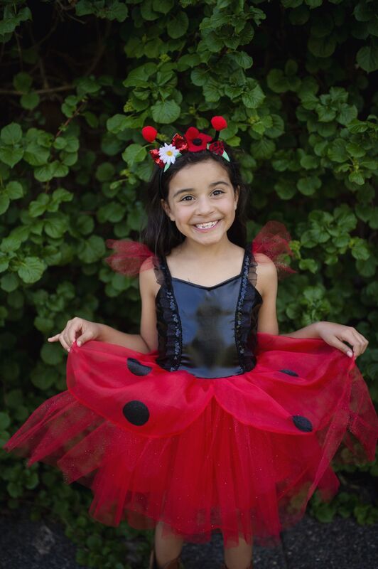 Lady Bug Dress & Headband Size (3-4 Years)