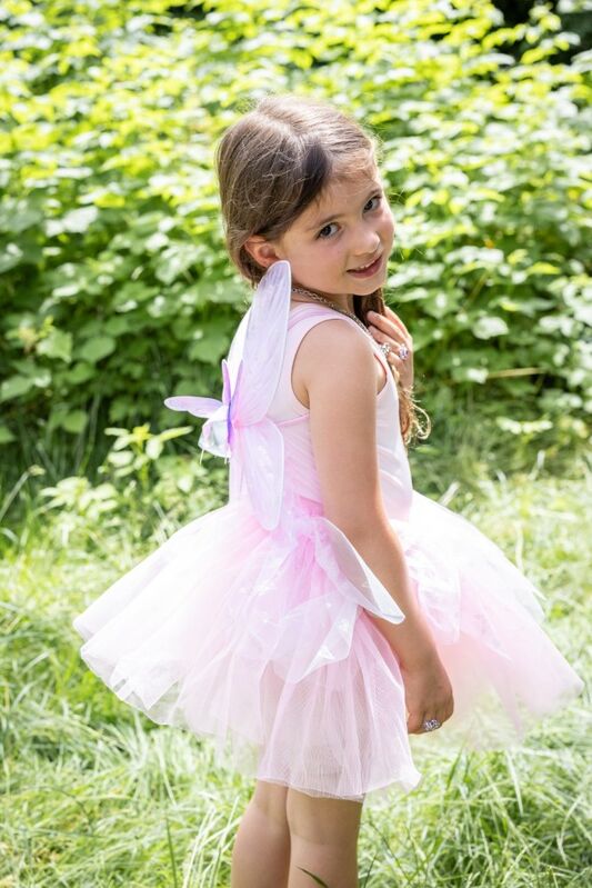 Pink Flutter Butterfly Skirt & Wings (Size 4-6)