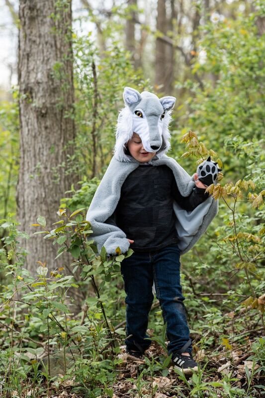 Woodland Storybook Wolf Cape Size (Size 4-6)