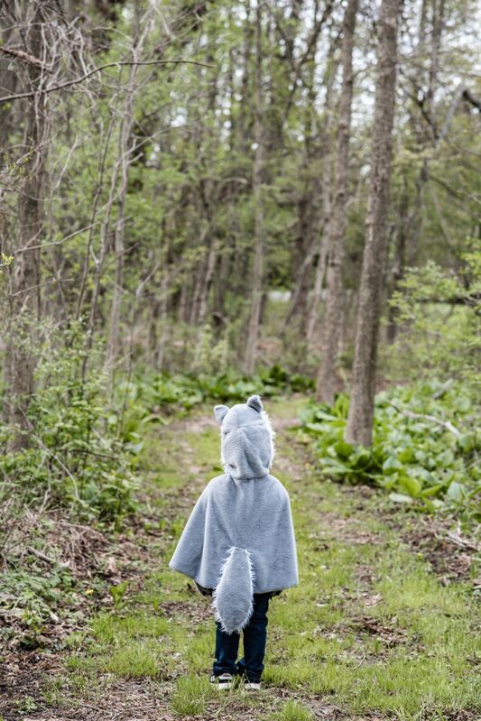 Woodland Storybook Wolf Cape Size (Size 4-6)