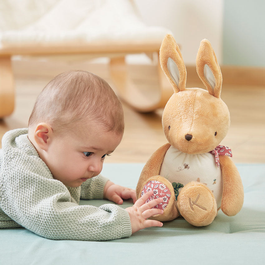 Chansons Rustling Rabbit - Toot Toot Toys