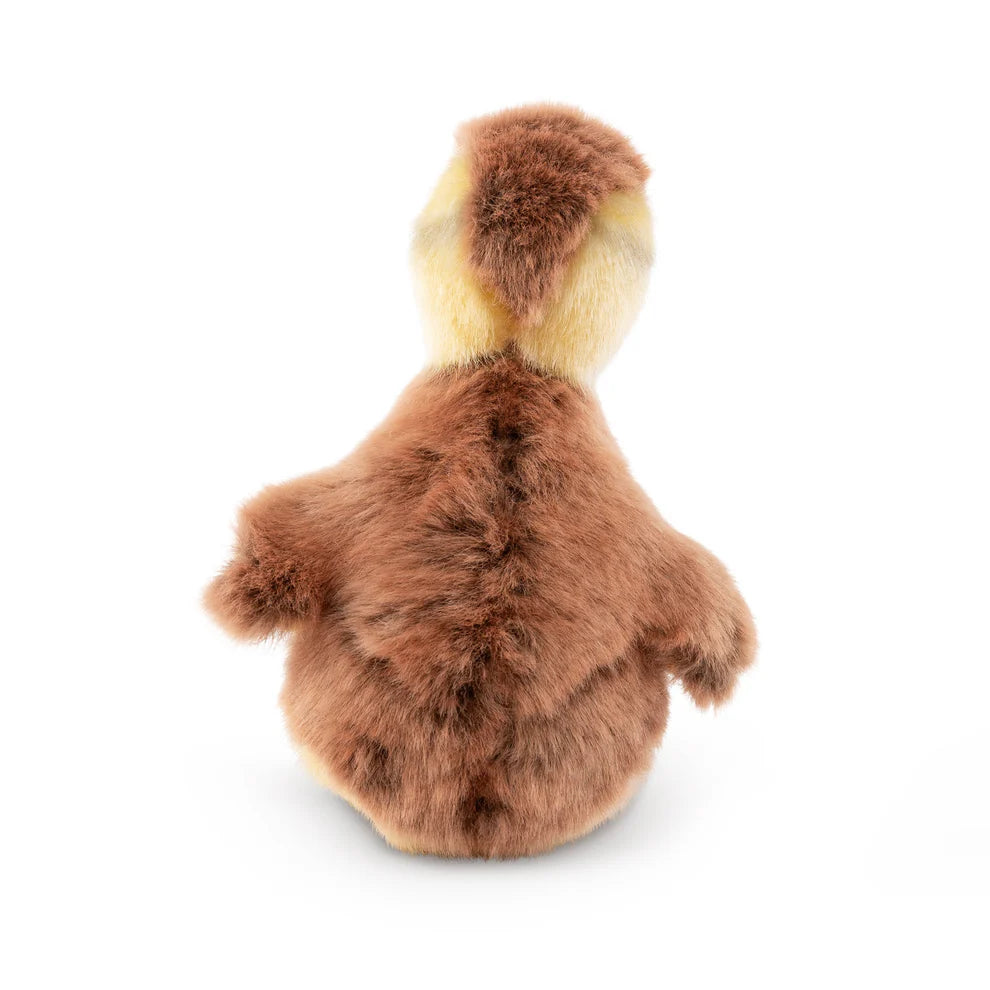 Mallard Duckling (16cm)