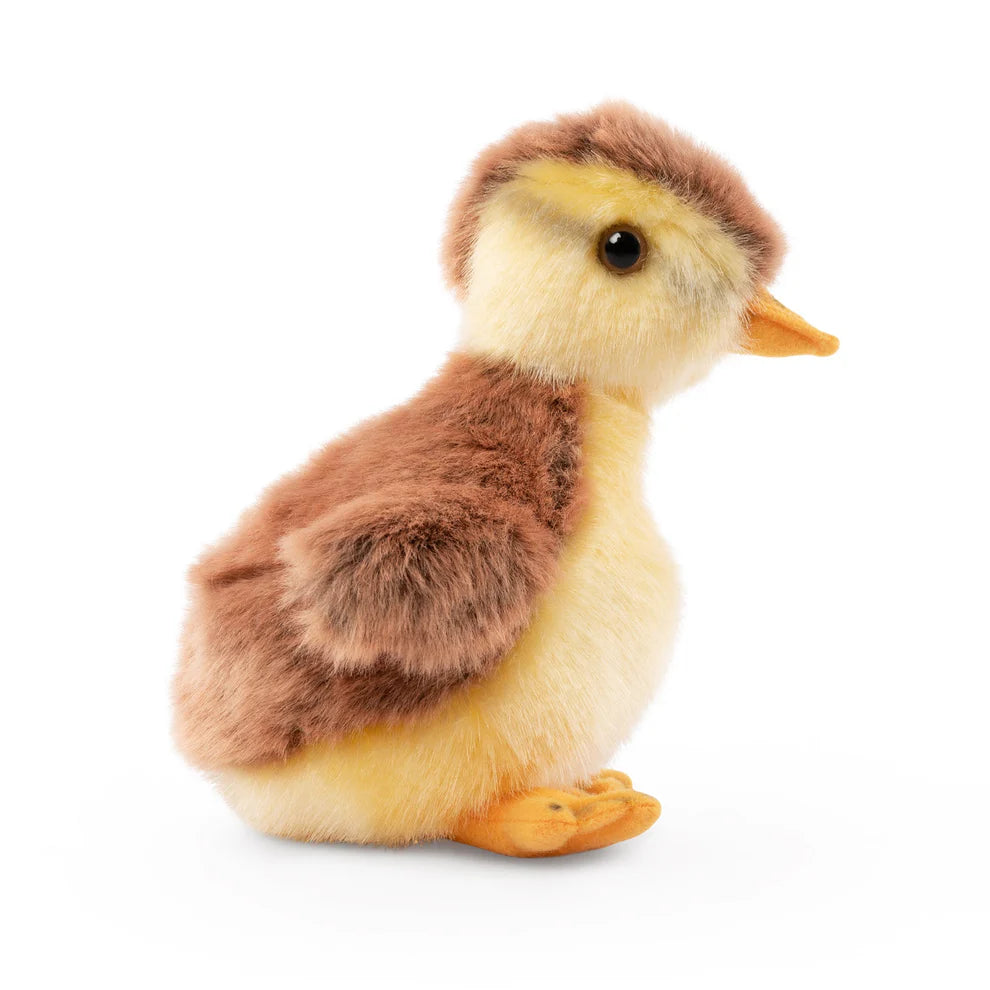 Mallard Duckling (16cm)