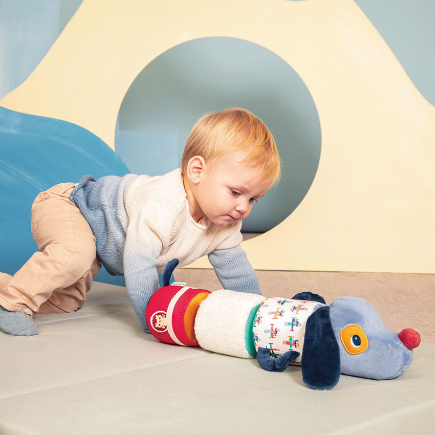 Jules the Dog Sound Roll