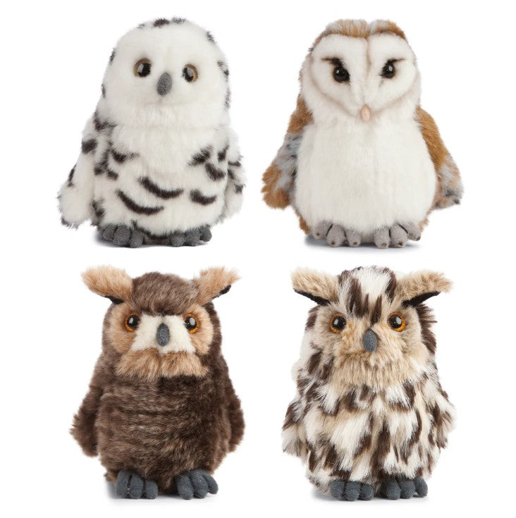 Owl (16cm) - Assorted
