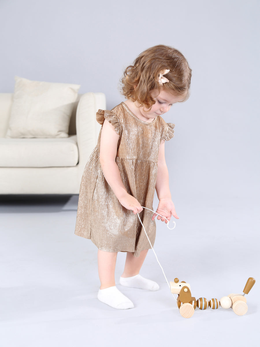 Calm & Breezy Wooden Pull Along Sausage Dog