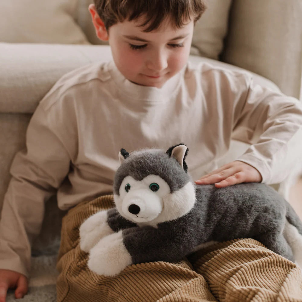 Scout Husky