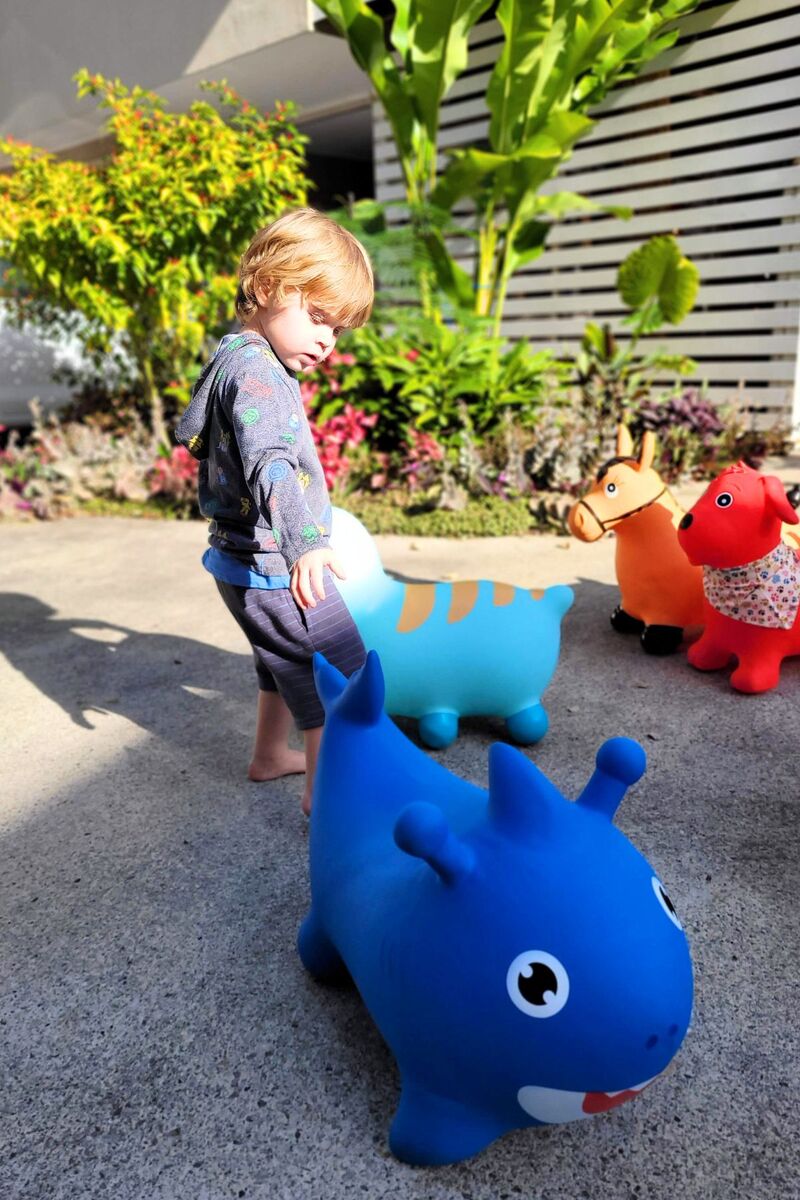 Bouncy Rider - Splash the Shark