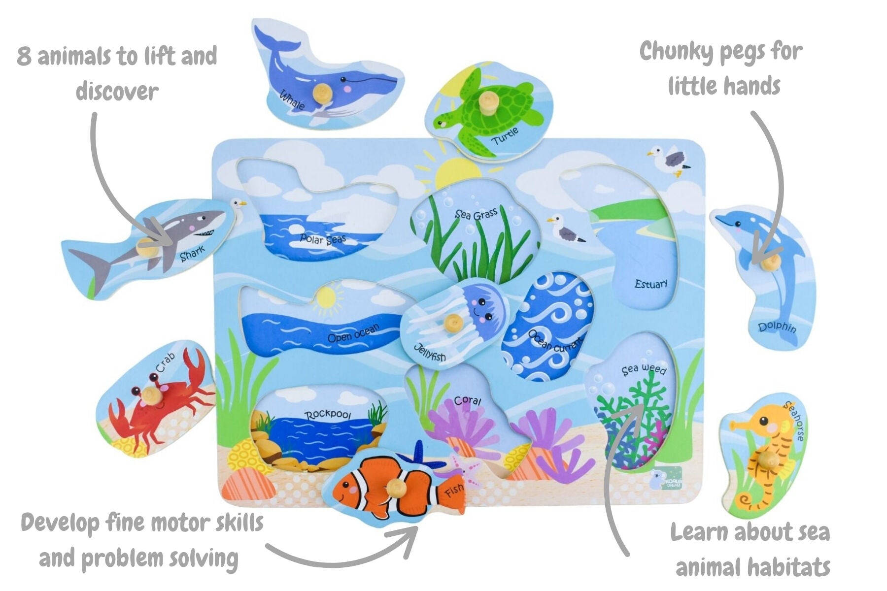 2 in 1 Sea Animal & Their Habitats Peg Puzzle
