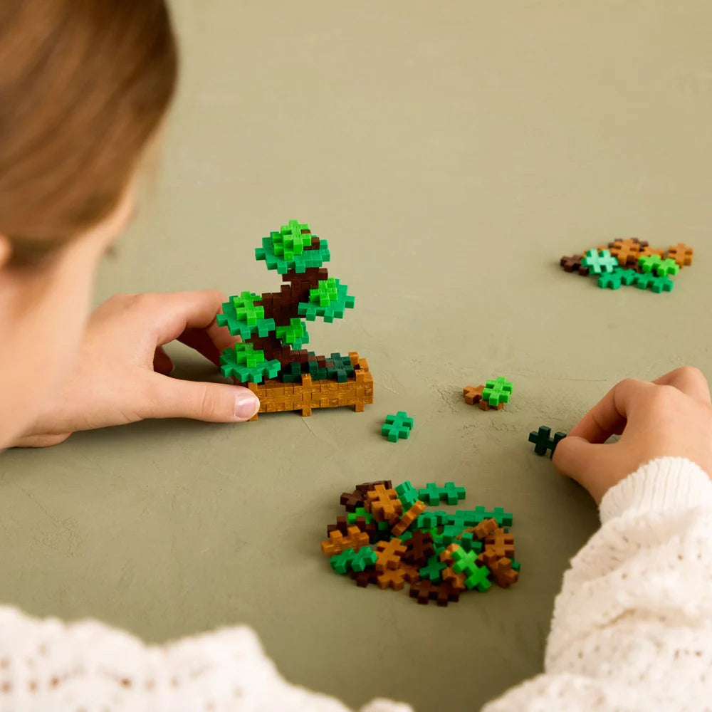 Plant Packs - Green Bonsai