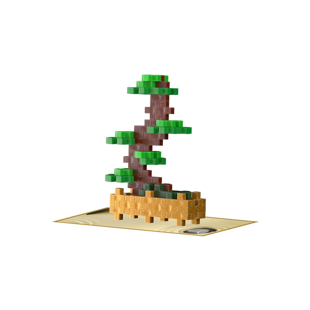 Plant Packs - Green Bonsai