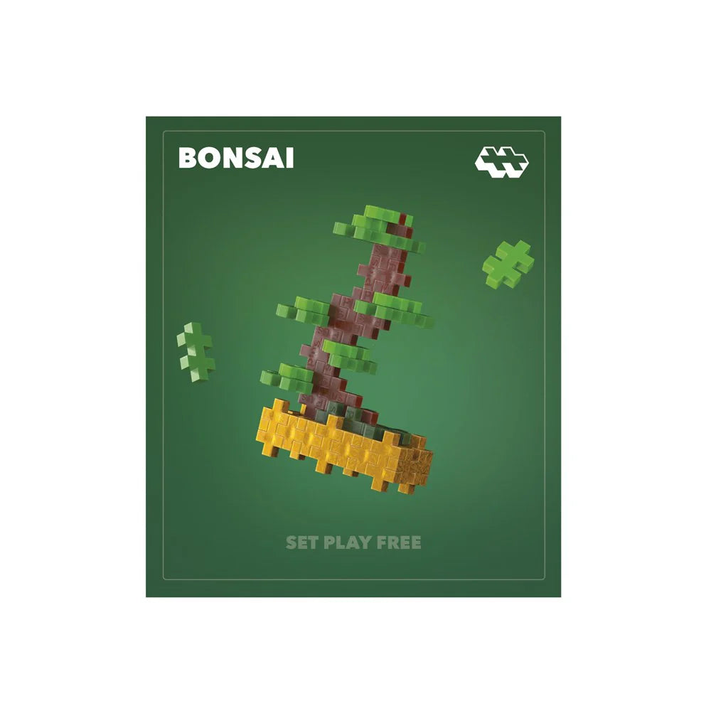 Plant Packs - Green Bonsai