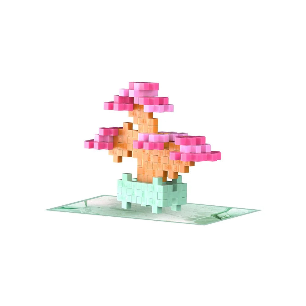 Plant Packs - Pink Bonsai