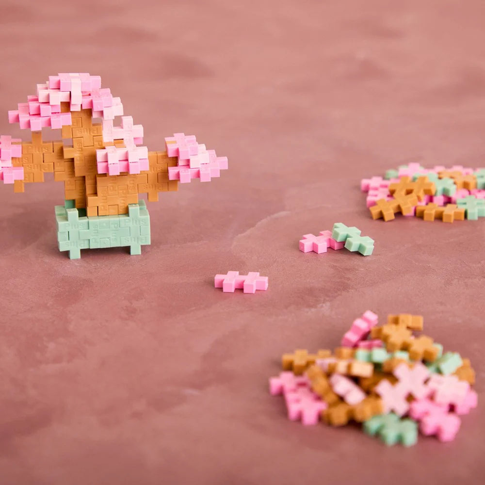 Plant Packs - Pink Bonsai