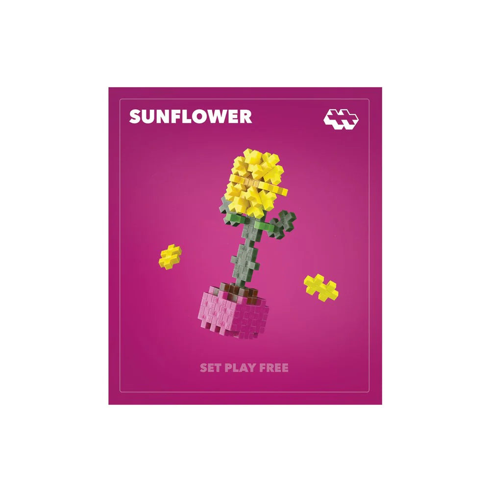 Plant Packs - Sunflower
