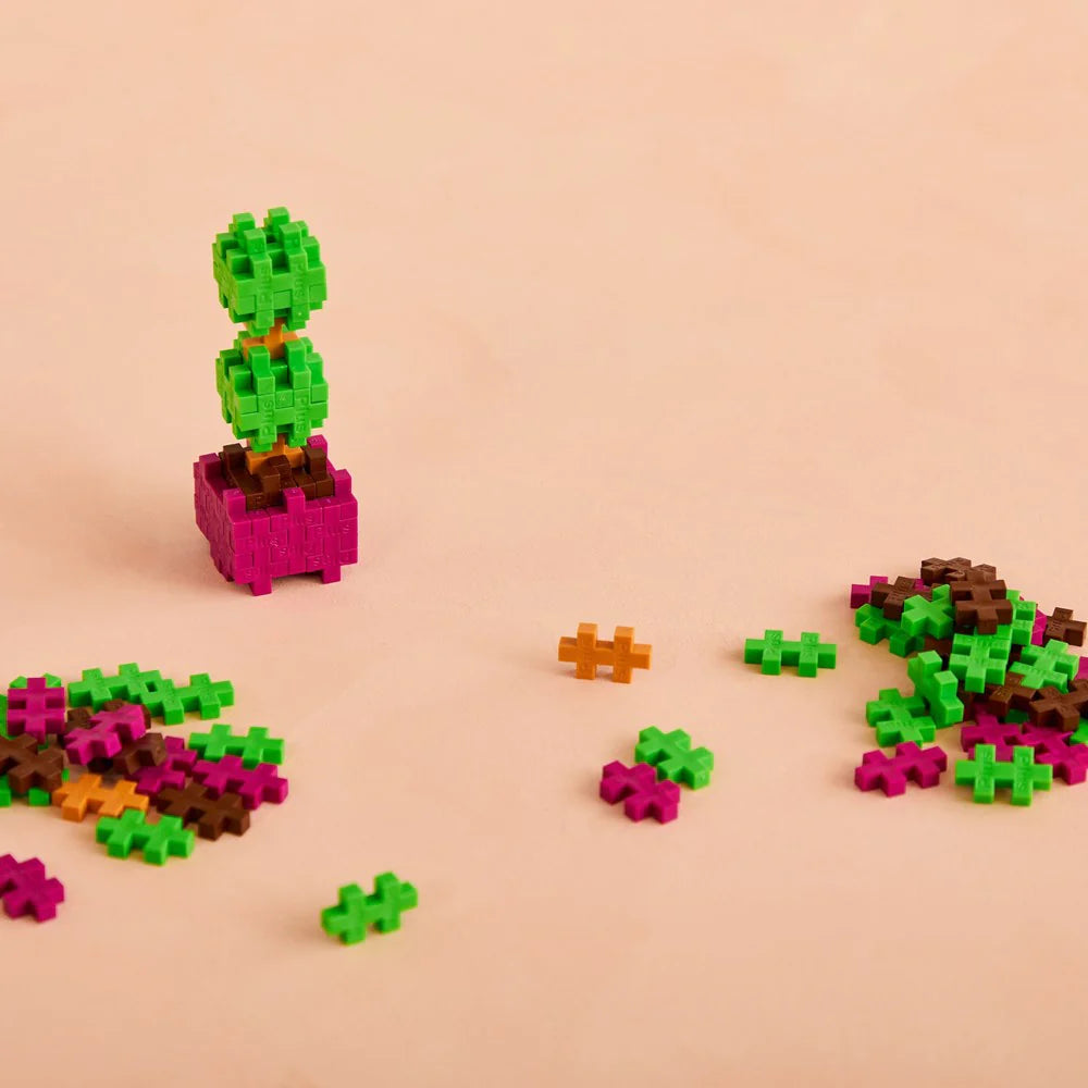 Plant Packs - Topiary