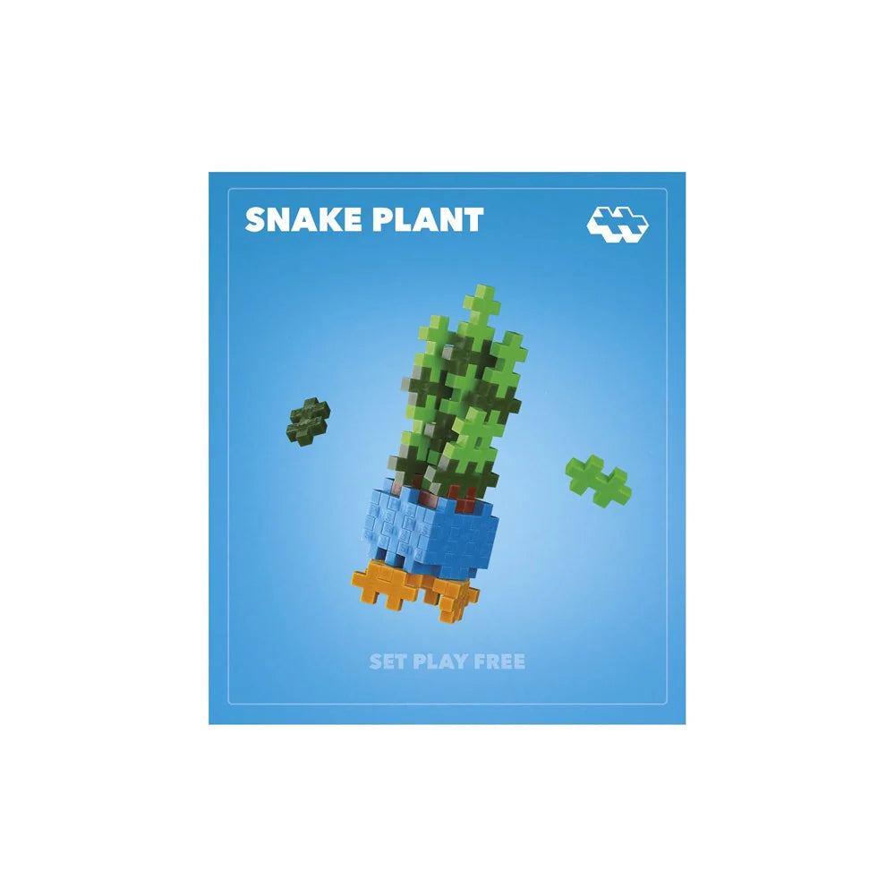 Plant Packs - Snake Plant