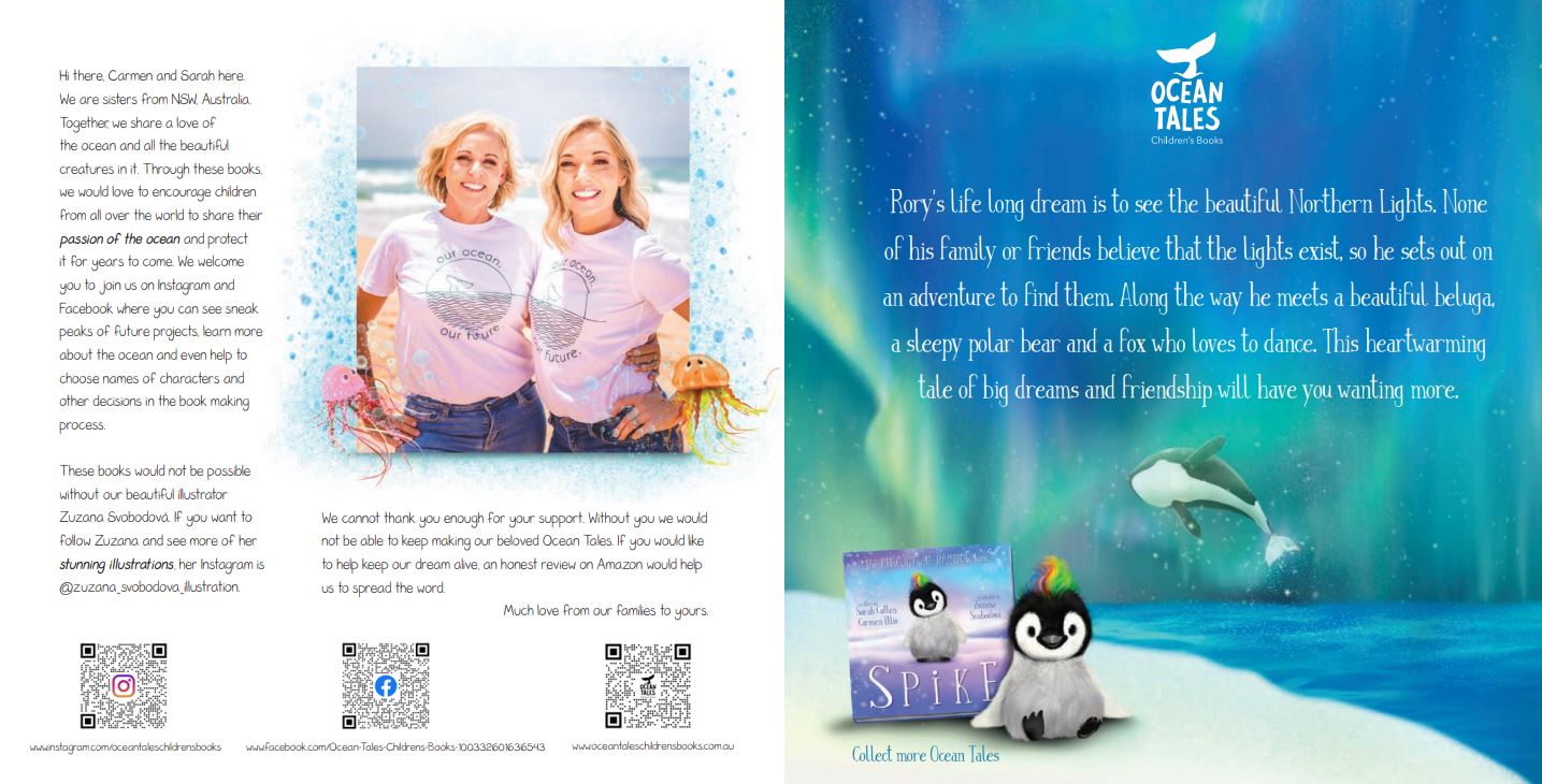 Rory: Quest For The Northern Lights