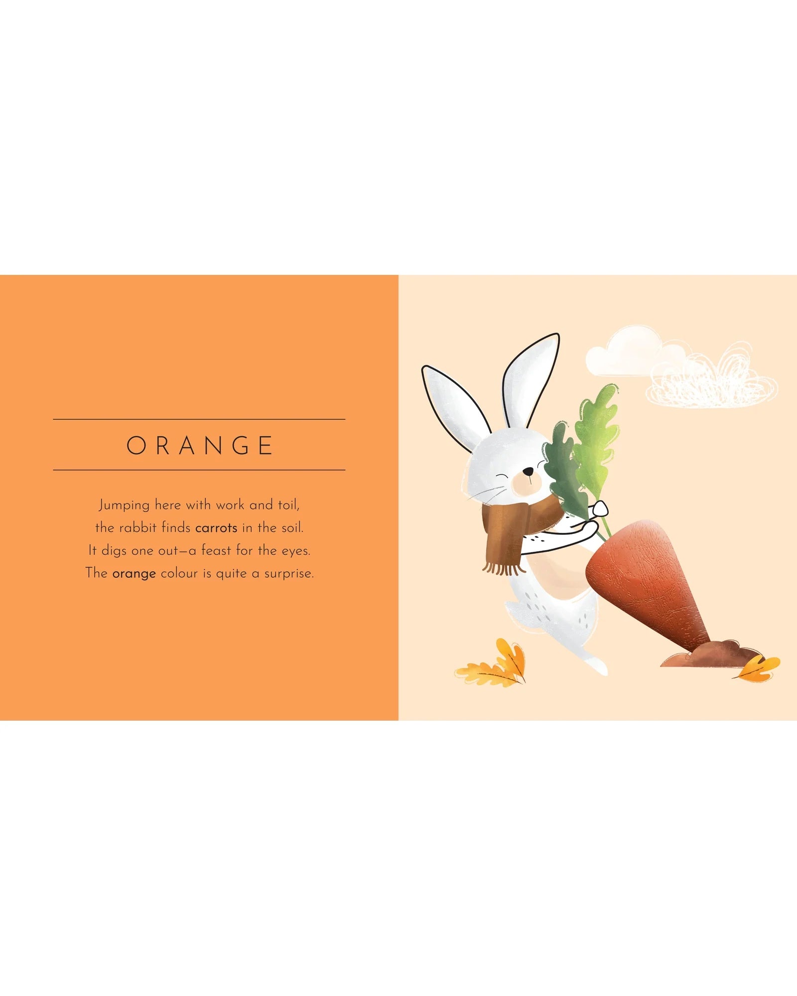 Touch & Feel Board Book - Colours