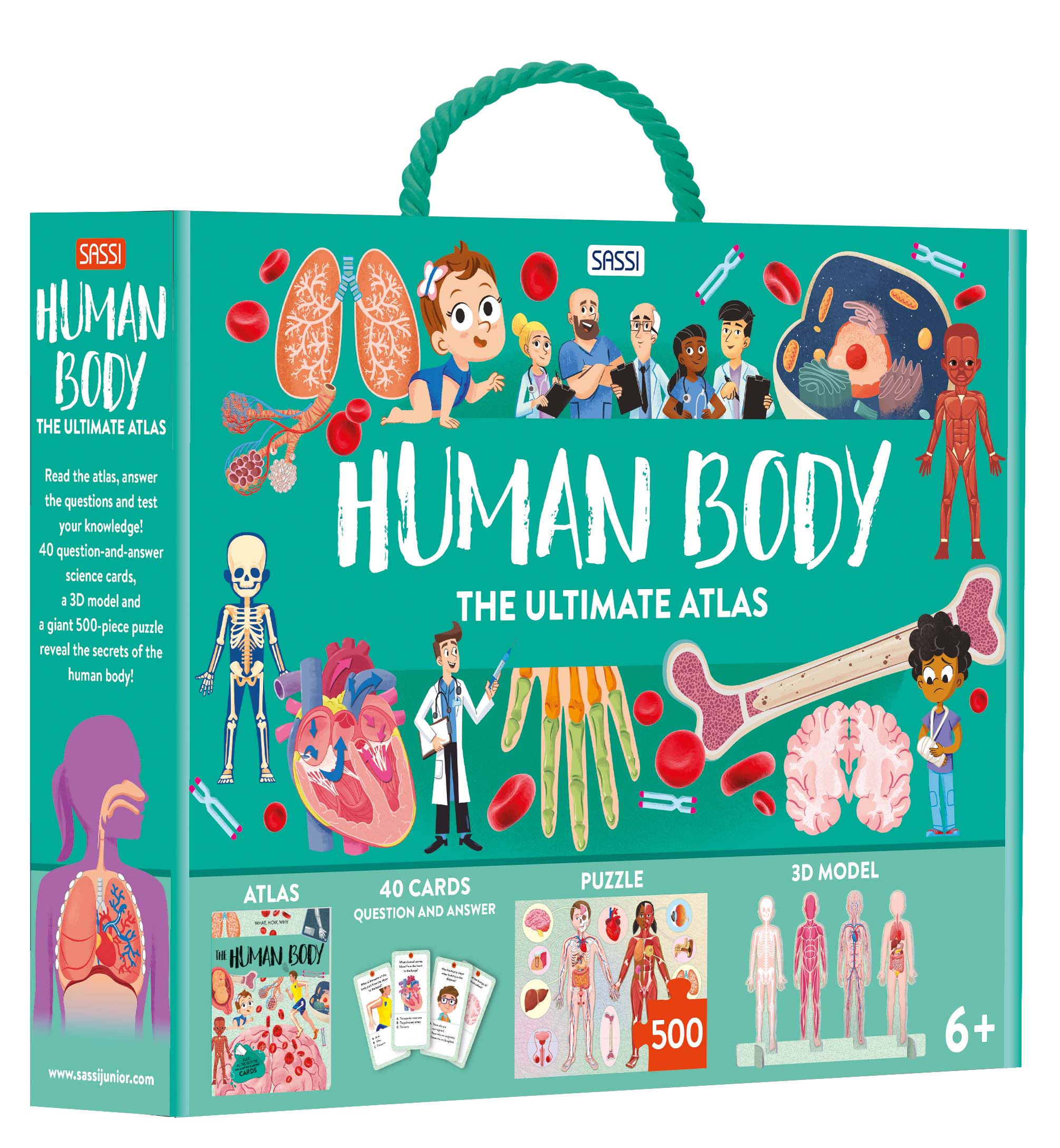 The Ultimate Atlas and Puzzle Set - Human Body 3D Model and 500 pcs Puzzle