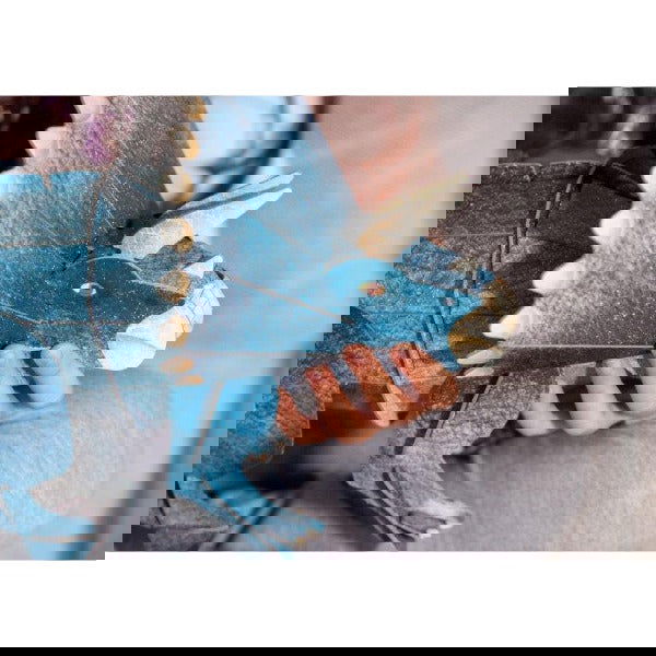 3D Model and Book - The Age of the Dinosaurs - Triceratops