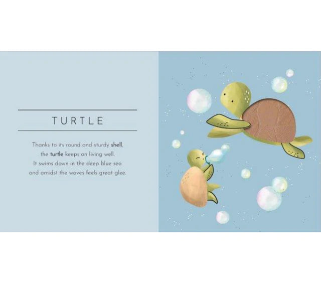 Touch & Feel Board Book - Animals