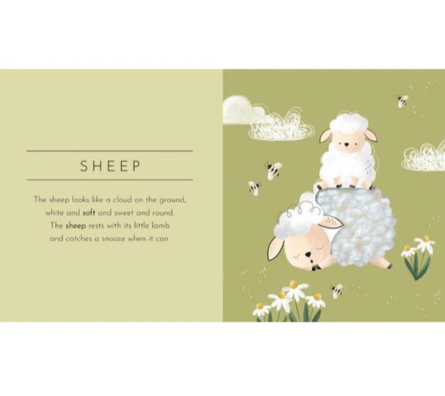 Touch & Feel Board Book - Animals